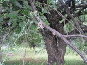 IMG_1234.JPG