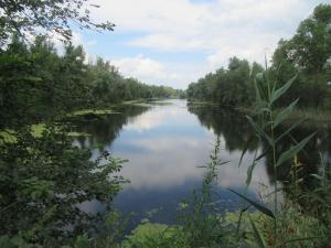 IMG_1229.JPG