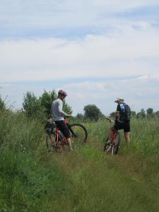 IMG_1235.JPG