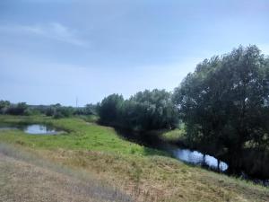 IMG_20170720_095137_HDR.jpg