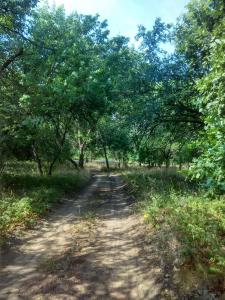 IMG_20170720_084713_HDR.jpg