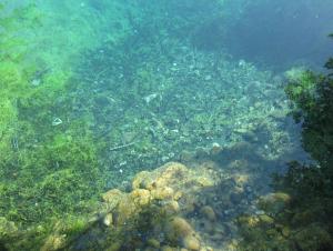 IMG_1890.JPG