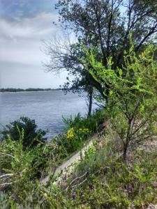 IMG_20170720_100121_HDR.jpg