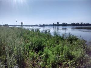 IMG_20170718_080626_HDR.jpg