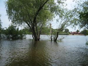 IMG_5027.JPG