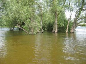 IMG_5014.JPG