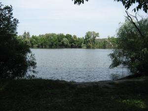 IMG_5007.JPG