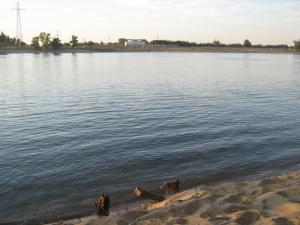 IMG_5055.JPG