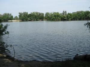 IMG_5010.JPG