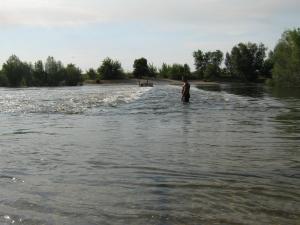 IMG_5037.JPG