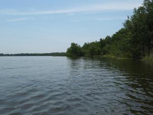 IMG_5015.JPG