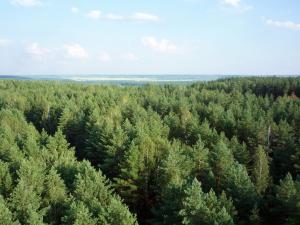 P1090389_новый размер.JPG