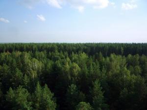 P1090390_новый размер.JPG