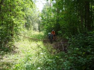 P1090417_новый размер.JPG