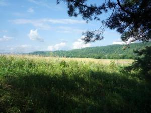 P1090454_новый размер.JPG