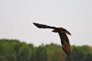 IMG_2968.jpg