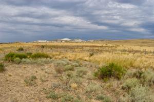 IMG_3019.jpg