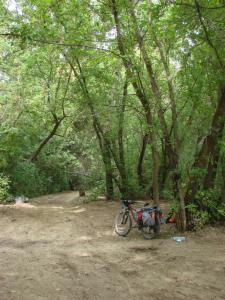 DSC07174.JPG