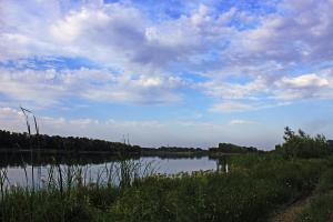 IMG_9500 1.jpg