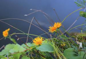 IMG_9600 1.jpg