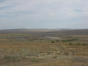 IMG_1393  1.jpg
