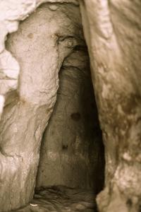 IMG_3560-2.JPG