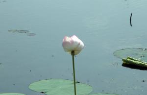 Копия 20130810_112944.jpg