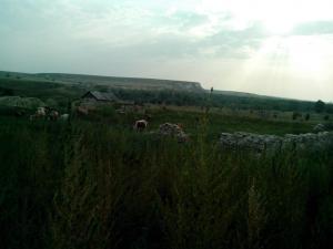 2013-08-17 18.50.39.jpg