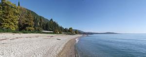 20121028-131003_20121028-131013-2 images.jpg