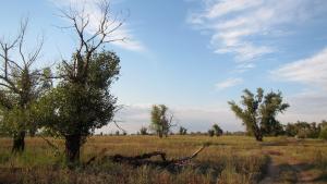IMG_2897.jpg