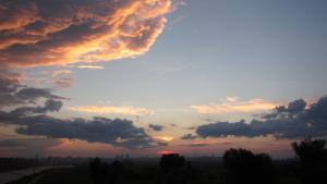 IMG_2936.jpg