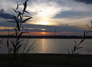 IMG_0045.jpg
