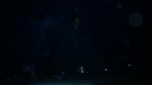 WP_20140830_0021.jpg