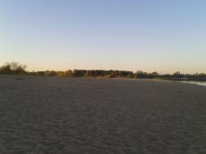 2014-08-16 06.33.44.jpg