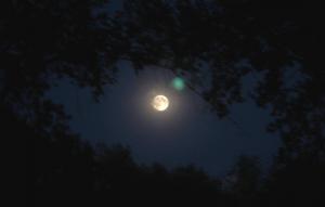 20140809_210012.jpg
