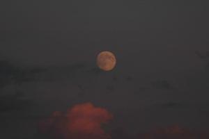 20140809_200514.jpg