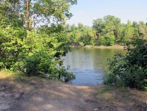 IMG_1628M.JPG