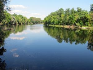 IMG_1635M.JPG