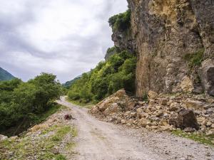 DSCN9339.jpg