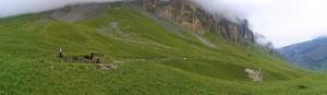 DSCN9429.jpg