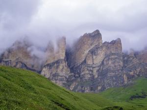 DSCN9554.jpg