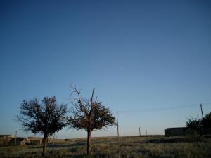 IMG_20150822_182653.jpg