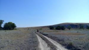 IMG_20150808_160133.jpg
