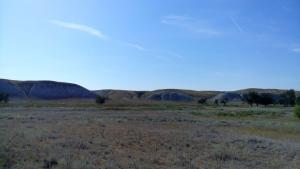 IMG_20150808_160136.jpg