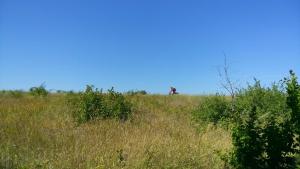 IMG_20150808_124440.jpg