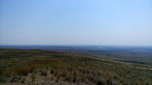 IMG_20150809_102812.jpg