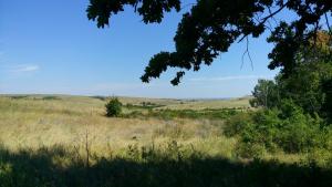 IMG_20150808_124450.jpg
