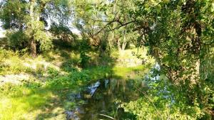 IMG_20150809_091735.jpg