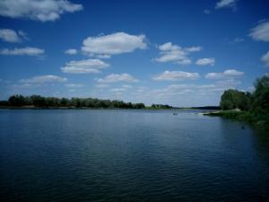 IMG_20150822_122319.jpg