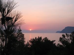 IMG_2058M.JPG